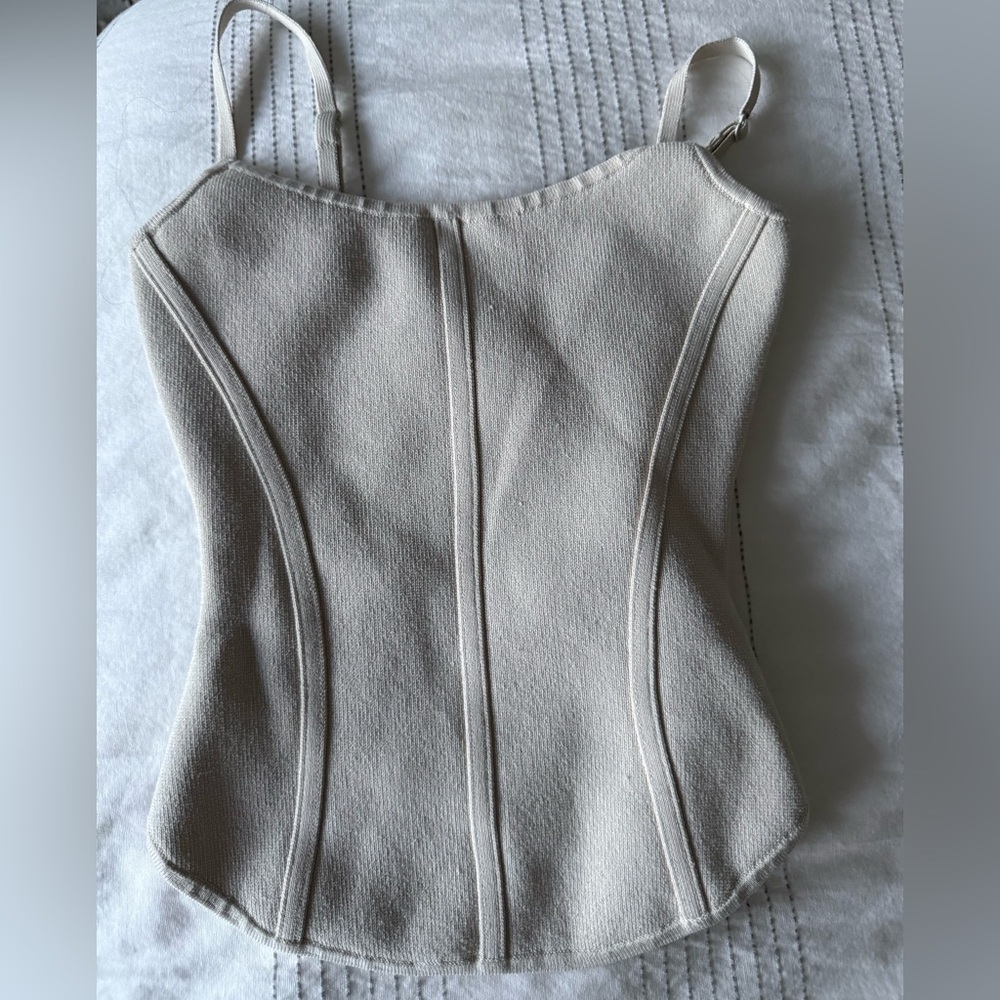 Babaton Aritzia stretchy knit corset top